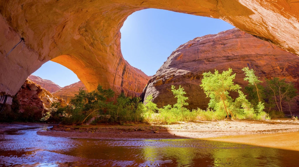 Intervine’s Top 5 Lesser Known National Parks!